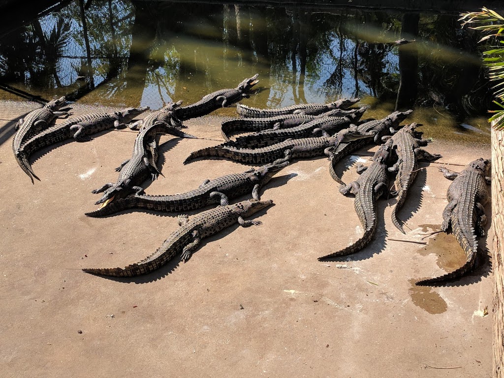 Crocodylus Park | 815 McMillans Rd, Berrimah NT 0828, Australia | Phone: (08) 8922 4500
