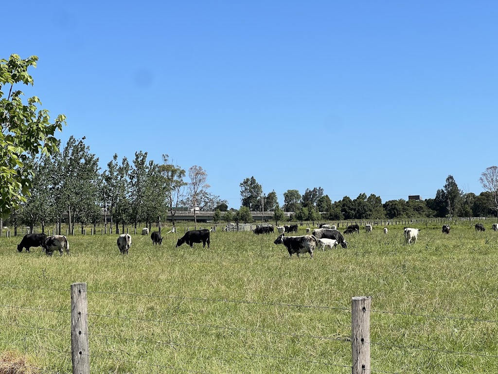 Gotcha Speckle Park | 43 Dumaresq Island Rd, Dumaresq Island NSW 2430, Australia | Phone: 0488 988 244