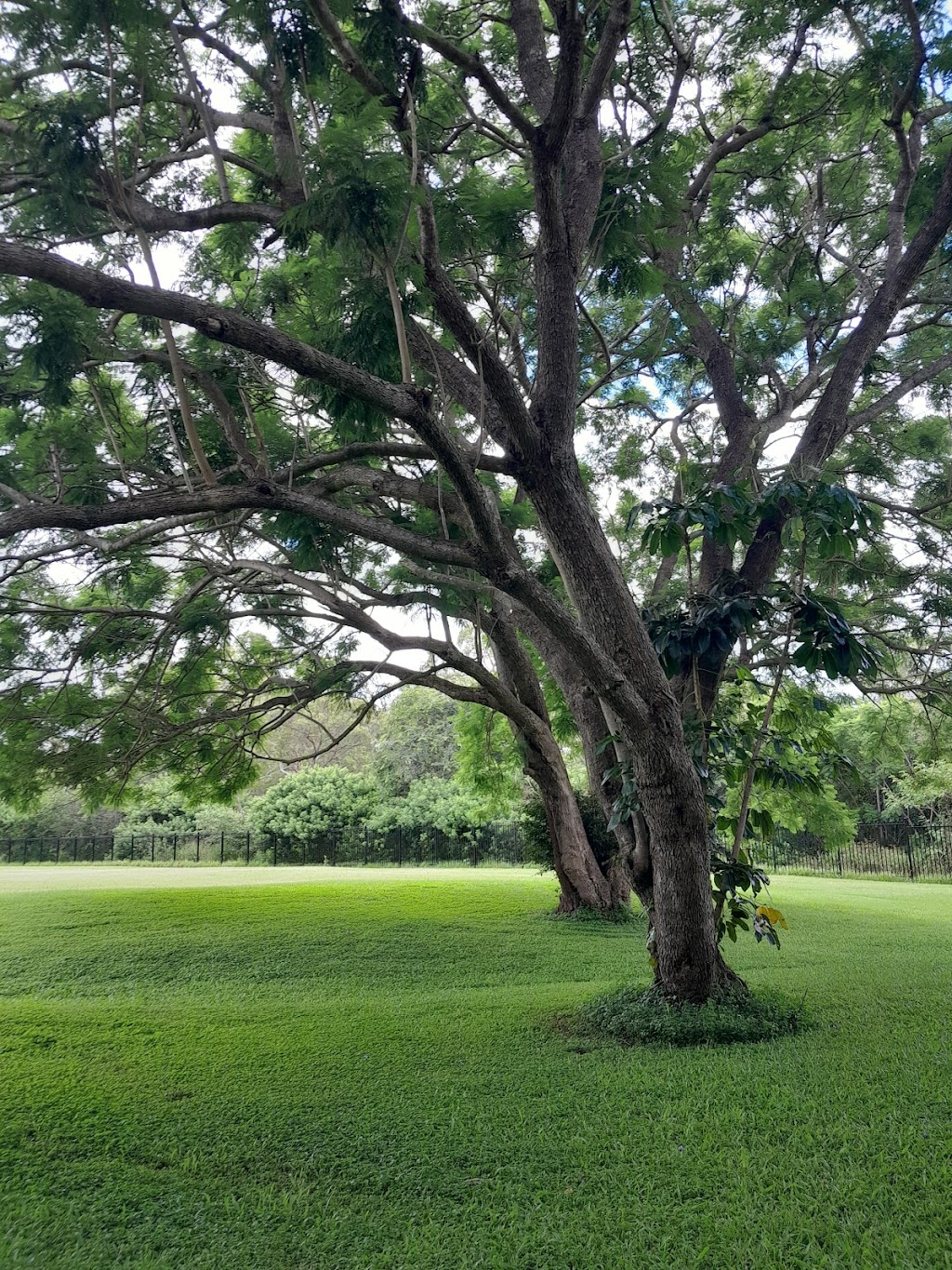 Burbank Bush Kindy Natural Childcare | 20 Moxon Rd, Burbank QLD 4156, Australia | Phone: (07) 3189 8880