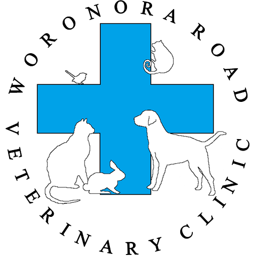 Woronora Road Veterinary Clinic | veterinary care | 153 Woronora Rd, Engadine NSW 2233, Australia | 0295481686 OR +61 2 9548 1686
