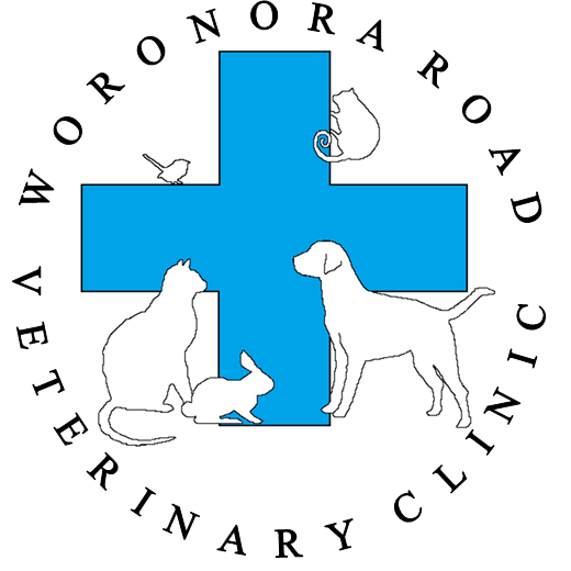 Woronora Road Veterinary Clinic | 153 Woronora Rd, Engadine NSW 2233, Australia | Phone: (02) 9548 1686