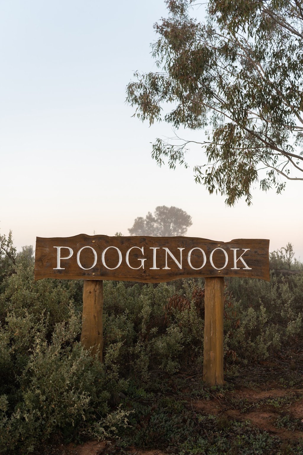 Pooginook Merino and Poll Stud |  | 773 Four Corners Rd, Jerilderie NSW 2716, Australia | 0428953017 OR +61 428 953 017