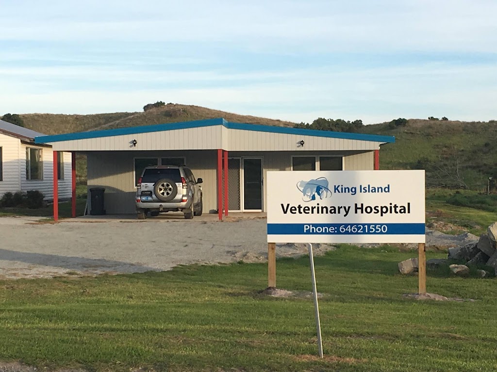 King Island Vets | 106 Grassy Rd, Currie TAS 7256, Australia | Phone: (03) 6462 1550