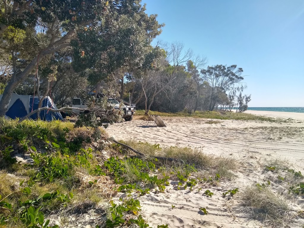 Beach camping zone 9 - Diray and Carree, K`gari (Fraser Island)  | park | Beach access, Fraser Island QLD 4581, Australia