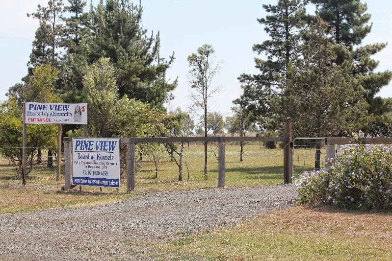 Pineview Boarding Kennels | 754 Wellcamp Westbrook Rd, Westbrook QLD 4350, Australia | Phone: (07) 4630 6159