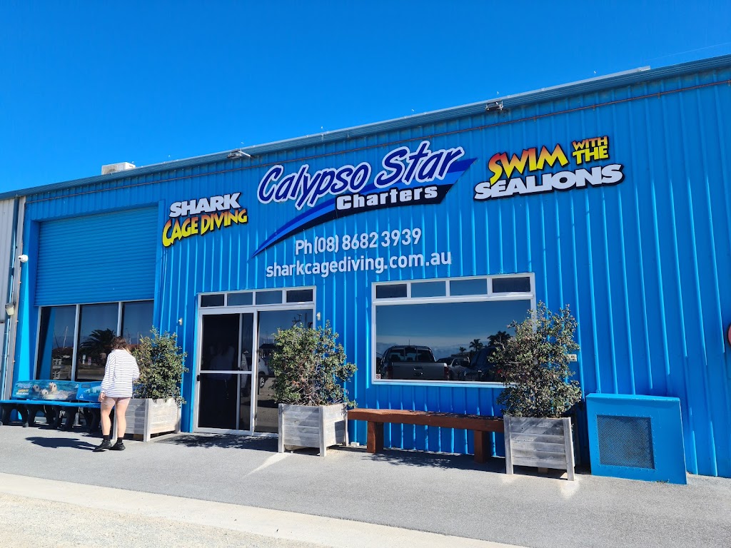 Shark Cage Diving with Calypso Star Charters | 10 S Quay Blvd, Port Lincoln SA 5606, Australia | Phone: (08) 8682 3939