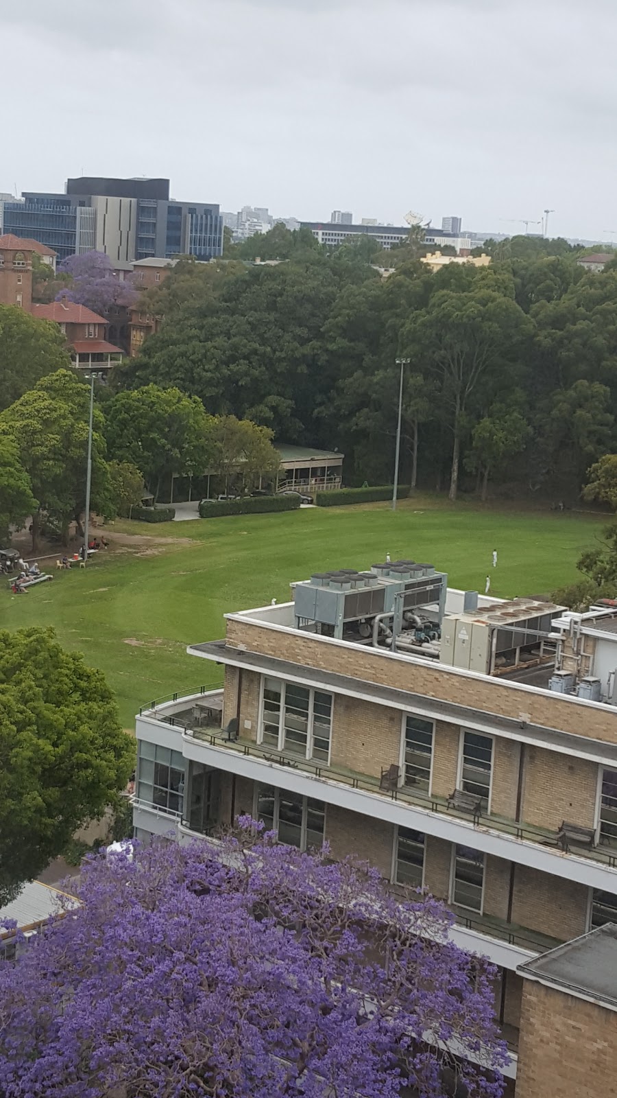 University Oval | The University of Sydney, Regimental Dr, Sydney NSW 2006, Australia | Phone: (02) 9351 2222