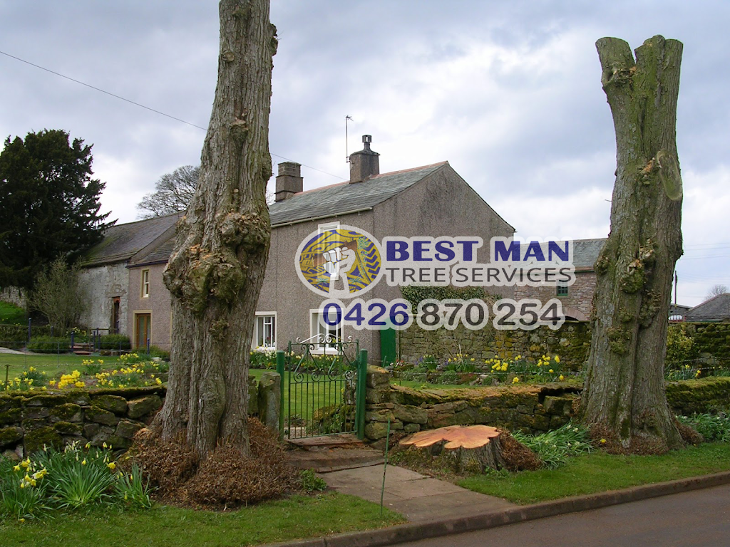 Best Man Tree Services | 3 Roscoe St, Kotara South NSW 2289, Australia | Phone: 0411 520 336