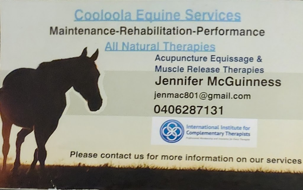 Cooloola Equine Services | health | 113 Glenbar Rd, The Palms QLD 4570, Australia | 0406287131 OR +61 406 287 131