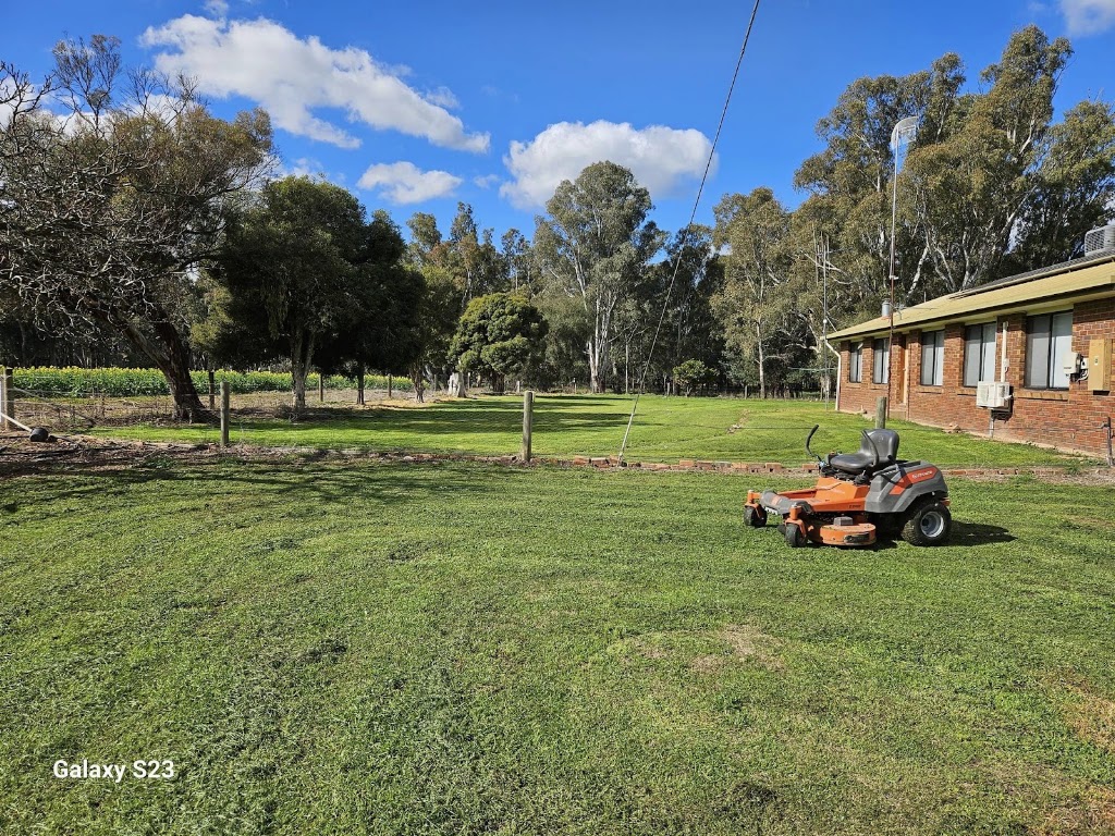 Steven Trevaskis Gardening Service | 31 Wendouree Dr, Kialla VIC 3631, Australia | Phone: 0417 508 145