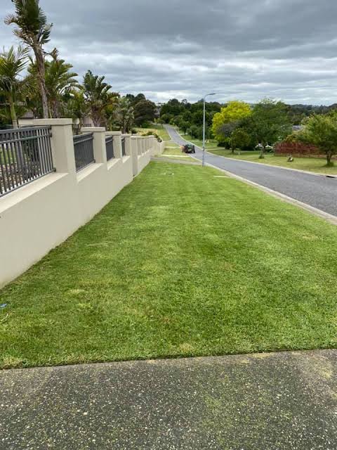 Blocked Drain Bros Melbourne | 1 Daphne Walk, Clyde VIC 3978, Australia | Phone: 0450 663 420