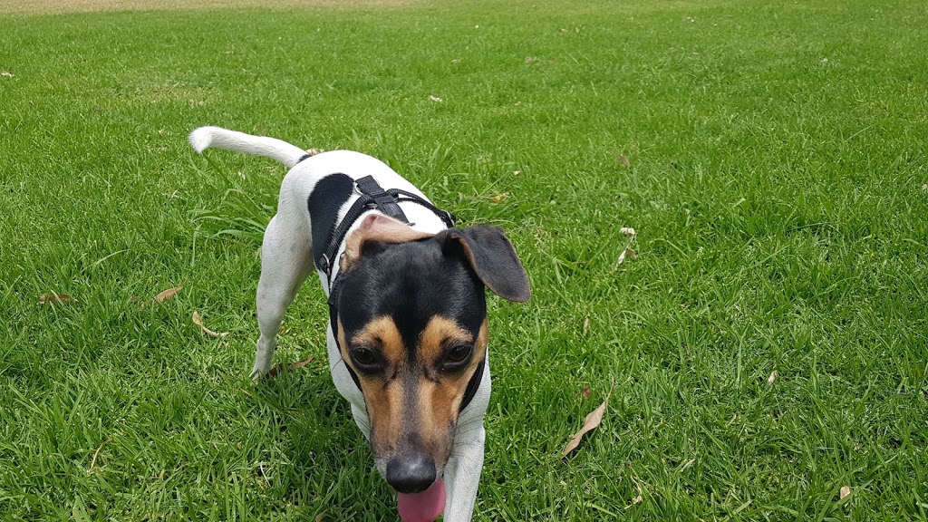 Milton Park Dog Park | park | Macquarie Fields NSW 2564, Australia