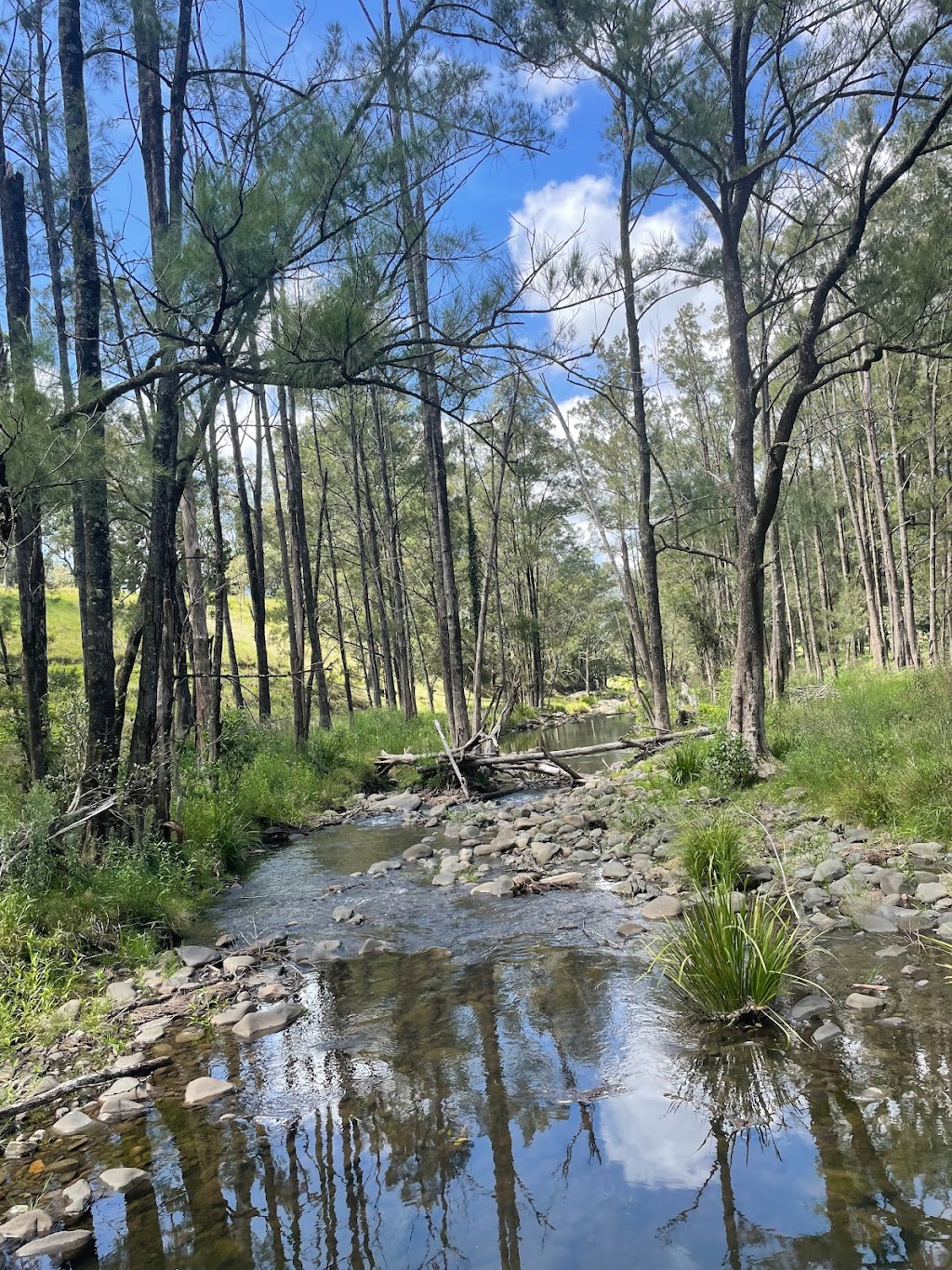 Bower on Bowman Tiny Home | 1369 Bowman River Rd, Bowman NSW 2422, Australia | Phone: 0407 784 901