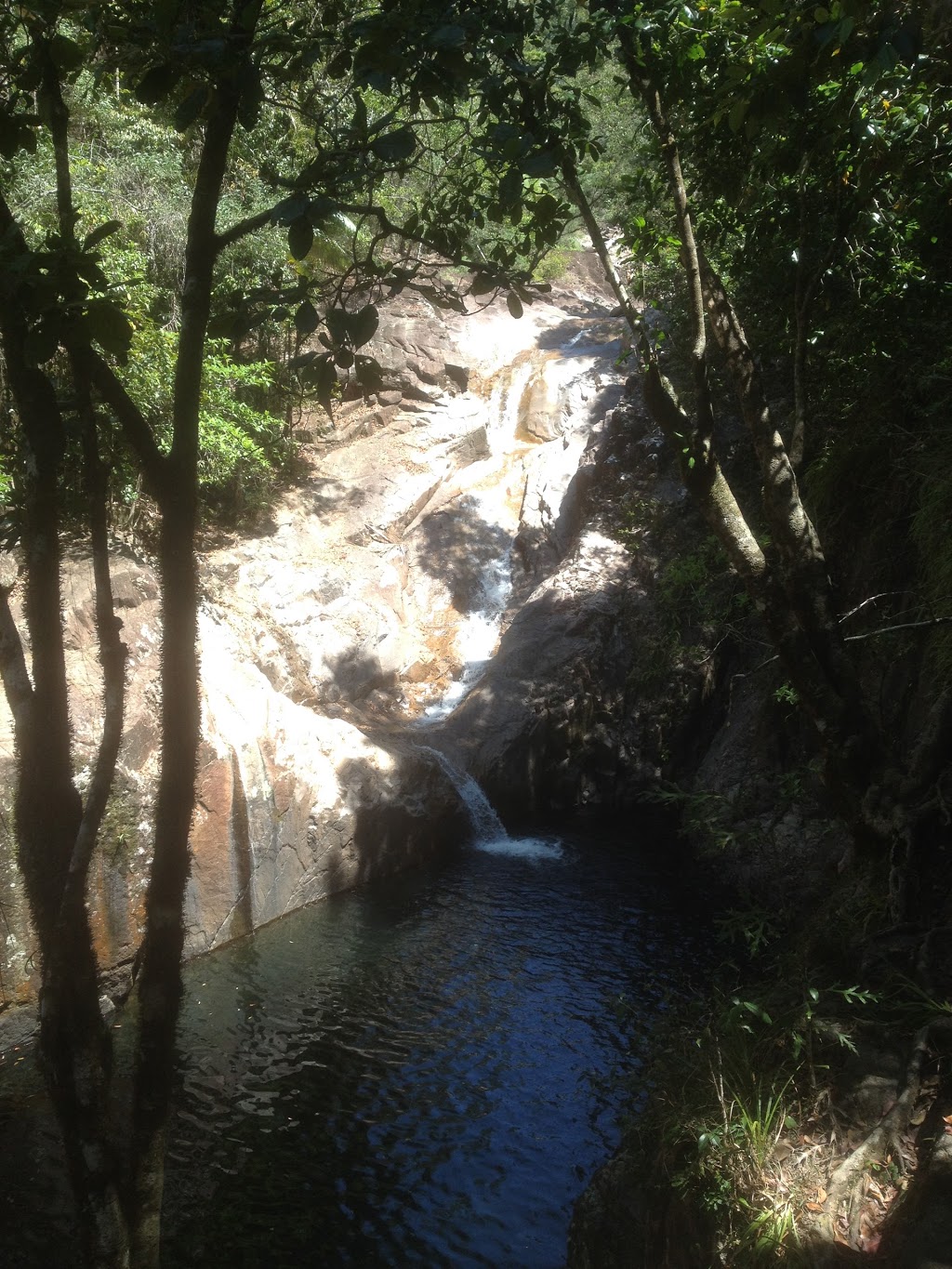 Broken River Visitor Information Centre | campground | 534 Eungella Dam Rd, Eungella QLD 4757, Australia | 0749584745 OR +61 7 4958 4745