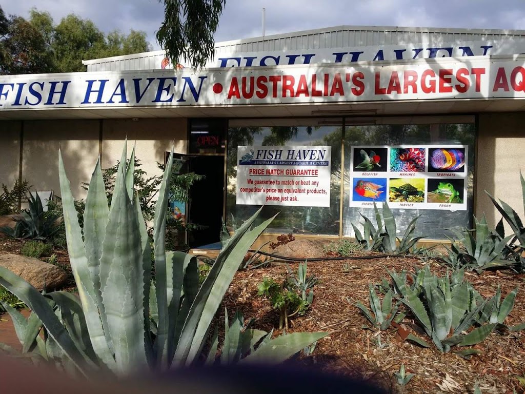 Fish Haven Australias Largest Fish & Aquarium Centre | pet store | 3 Newfield Rd, Para Hills West SA 5096, Australia | 0883591311 OR +61 8 8359 1311