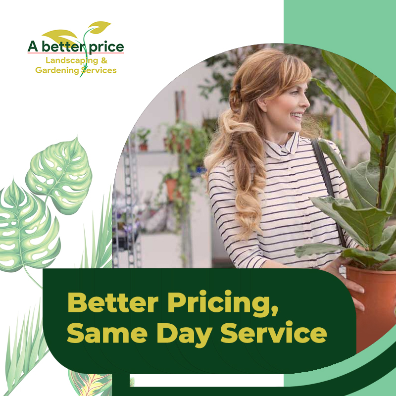 Abetterprice | 17 Wyalong St, Willoughby NSW 2068, Australia | Phone: 0406 277 300