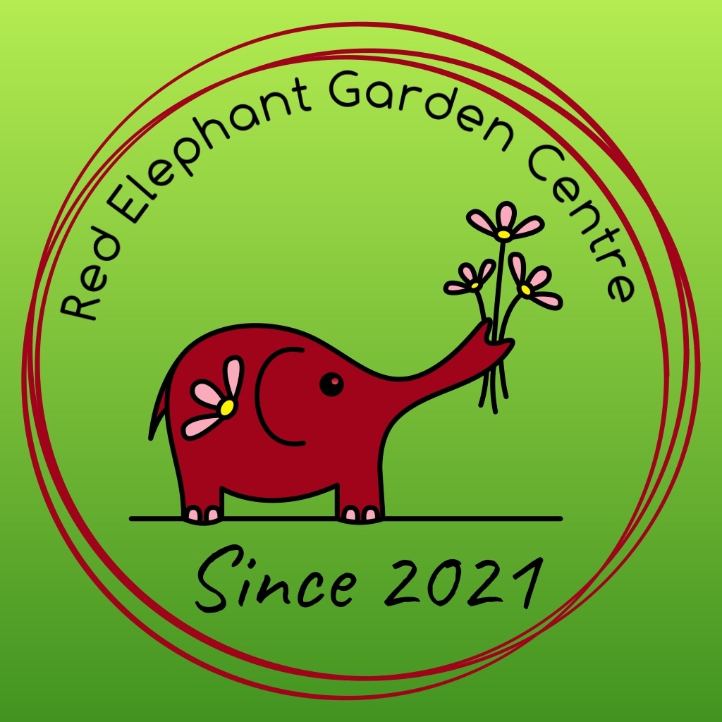 Red Elephant Garden Centre | 4127 Warrego Hwy, Plainland QLD 4341, Australia | Phone: 0400 888 680
