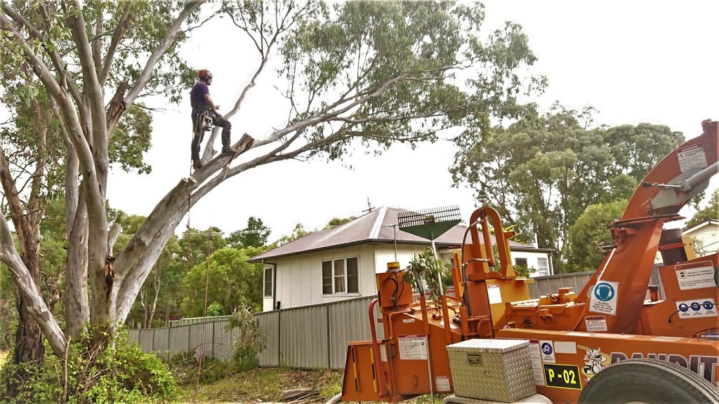 Agile Arbor Pty Ltd - Tree Services | 344 Limekilns Rd, Kelso NSW 2795, Australia | Phone: (02) 6334 2544