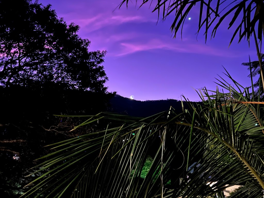 Anamaya Yoga Life | 23-25 Taminga Crest, Cordeaux Heights NSW 2526, Australia | Phone: 0434 118 412