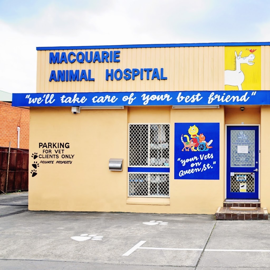 Macquarie Animal Hospital | veterinary care | Shop 5/55-67 Saywell Rd, Macquarie Fields NSW 2564, Australia | 0296055302 OR +61 2 9605 5302