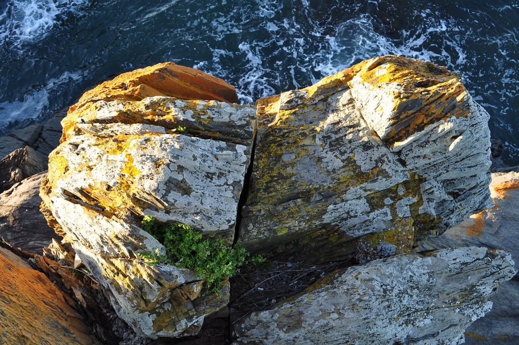 Mersey Bluff State Reserve | Devonport TAS 7310, Australia