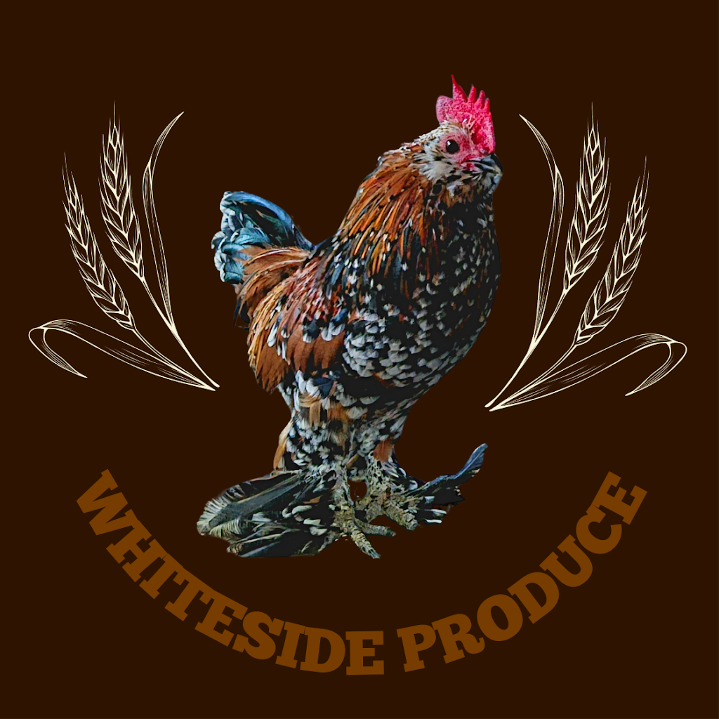 Whiteside Produce | 1093 Dayboro Rd, Whiteside QLD 4503, Australia | Phone: 0402 464 991