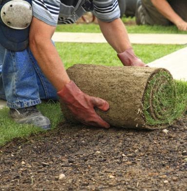 Perth Turf Supplies | 873 Cooper Rd, Bullsbrook WA 6084, Australia | Phone: (08) 9330 8787