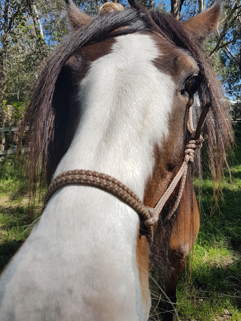 Rickety Ranch | 2 Phar lap drive Darling Downs, Byford WA 6122, Australia | Phone: 0417 177 482