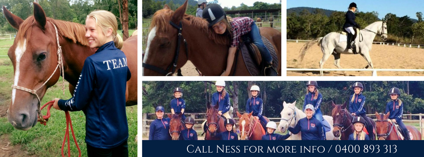 SWEET ACRES EQUESTRIAN TEAM | 18 Moon Cres, Sugarloaf QLD 4800, Australia | Phone: 0400 893 313