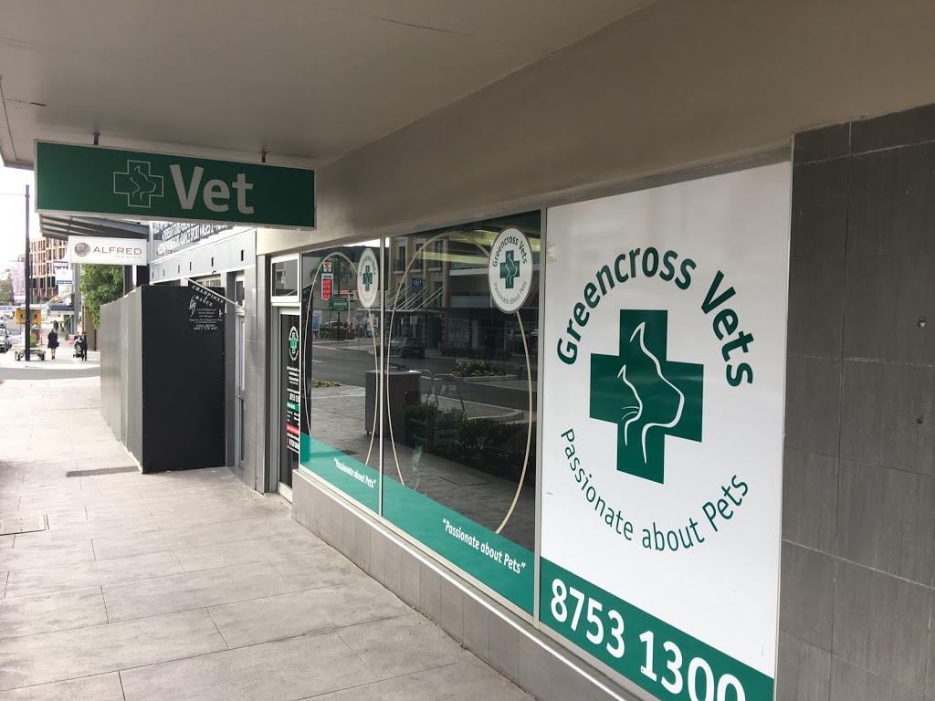 Green Cross Veterinary Hospital | veterinary care | 140 Great N Rd, Five Dock NSW 2046, Australia | 0287531300 OR +61 2 8753 1300