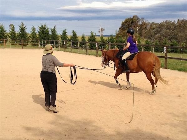 Arundel Equestrian |  | 890 Jenolan Caves Rd, Good Forest NSW 2790, Australia | 0263593022 OR +61 2 6359 3022