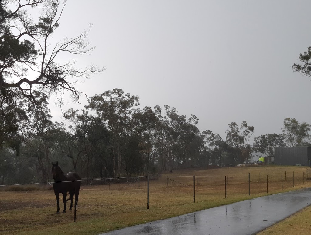 Hawkesbury Native Landscapes | 33 Putty Rd, Windsor NSW 2756, Australia | Phone: 0408 016 566