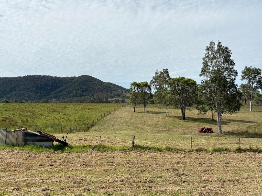 Buck In a Truck | 341 Black Camp Rd, Nooroo NSW 2415, Australia | Phone: 0422 308 907
