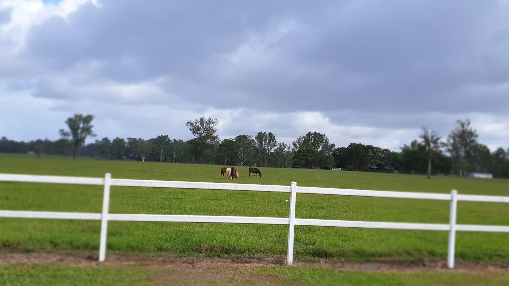 Aldwyn Boarding Kennels & Cattery |  | 33/39 St Aldwyn Rd, North MacLean QLD 4280, Australia | 0738021902 OR +61 7 3802 1902