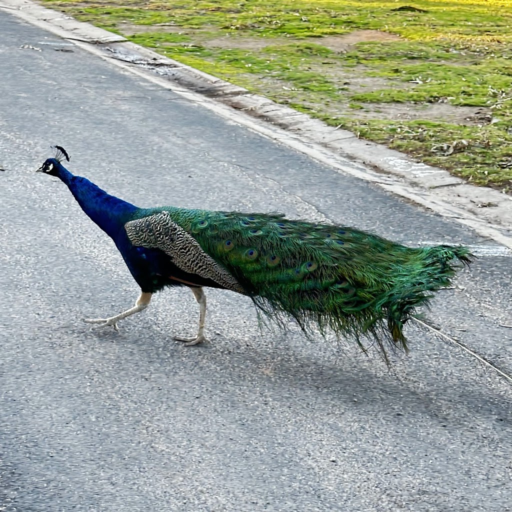 Big4 Swan Hill Pioneer City Tourist Park | Swan Hill VIC 3585, Australia | Phone: (03) 5032 4372