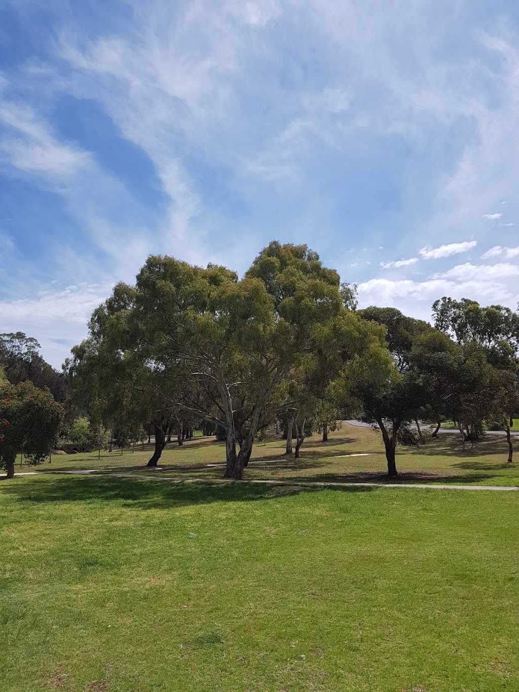Robertson Street Reserve | park | 7 Castle St, Reynella SA 5161, Australia