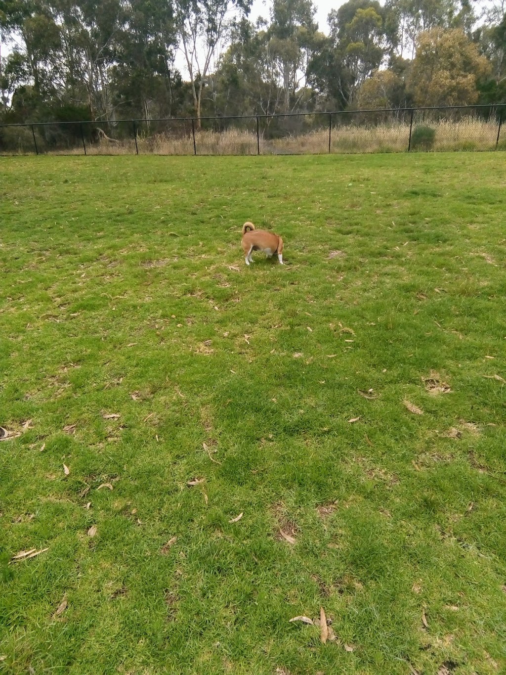 Victor Harbor Dog Park | park | Oval Park Rd, Victor Harbor SA 5211, Australia | 0885510500 OR +61 8 8551 0500