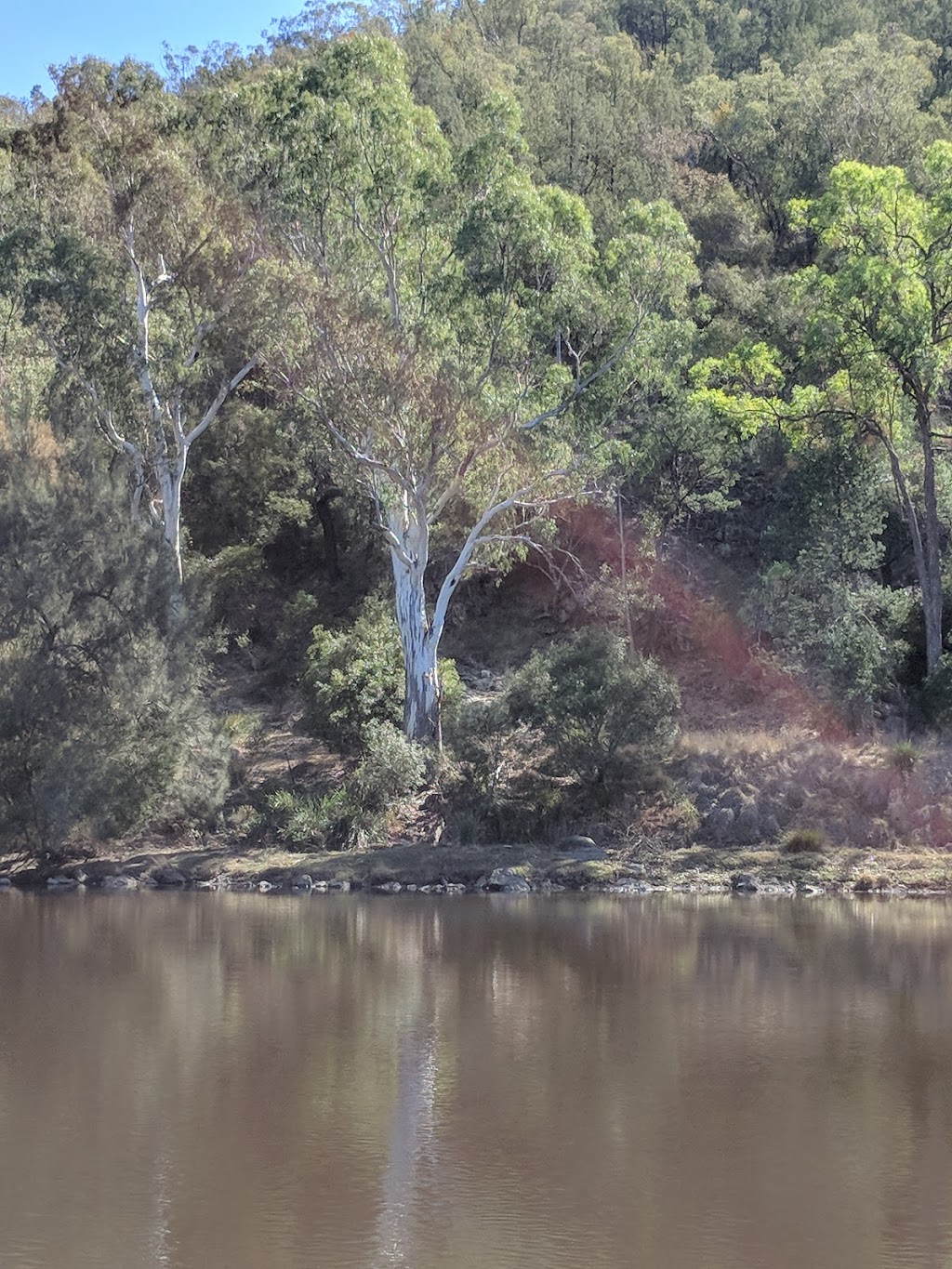 Bingara CCA Zone 3 State Conservation Area | park | Bangheet NSW 2404, Australia