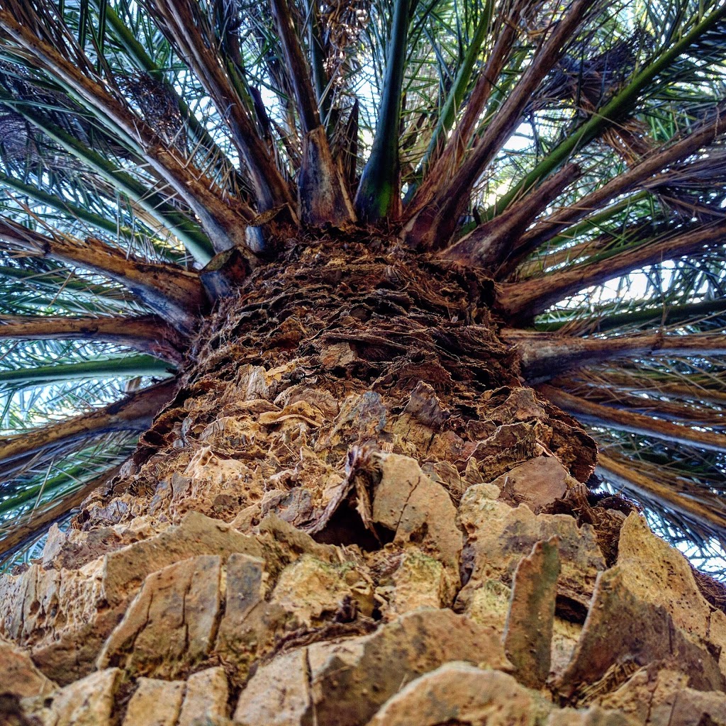 Greenwich Point Reserve | Greenwich NSW 2065, Australia