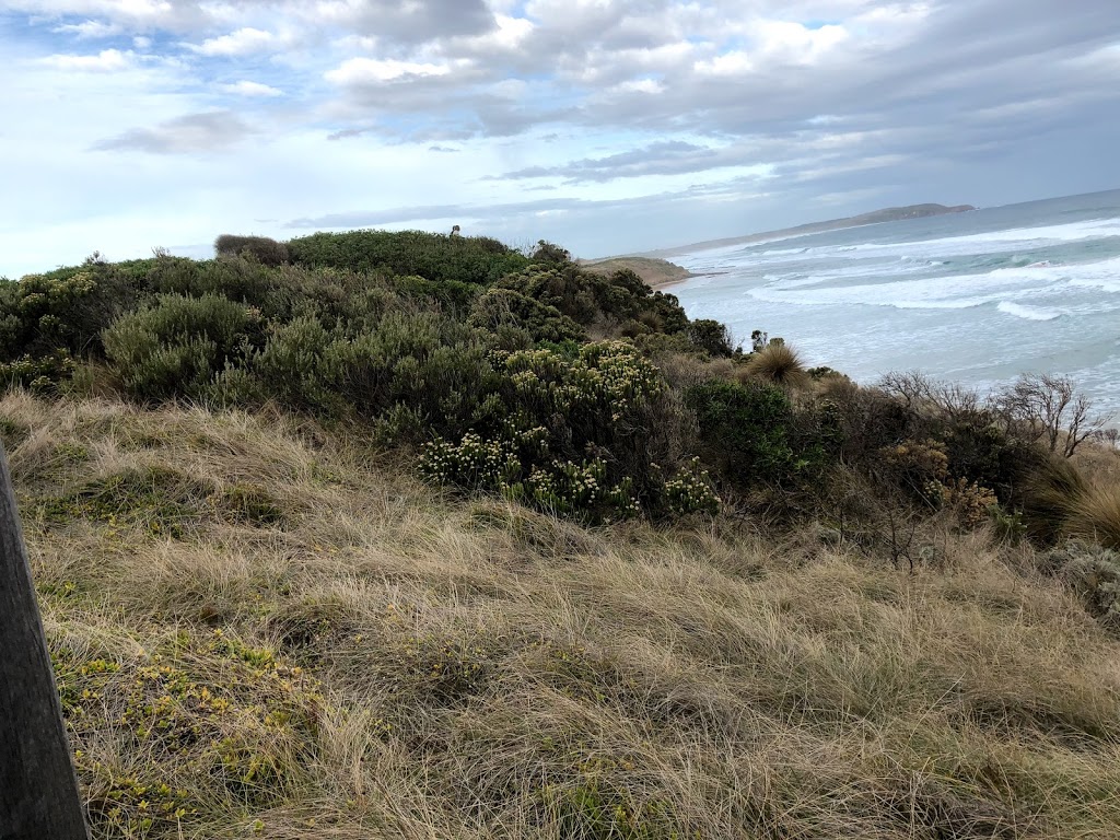 Special Shorebirds Conservation Area Phillip Islands | Surf Beach VIC 3922, Australia