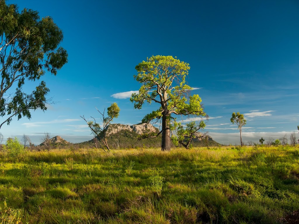 Peak Range National Park | park | Dysart QLD 4745, Australia