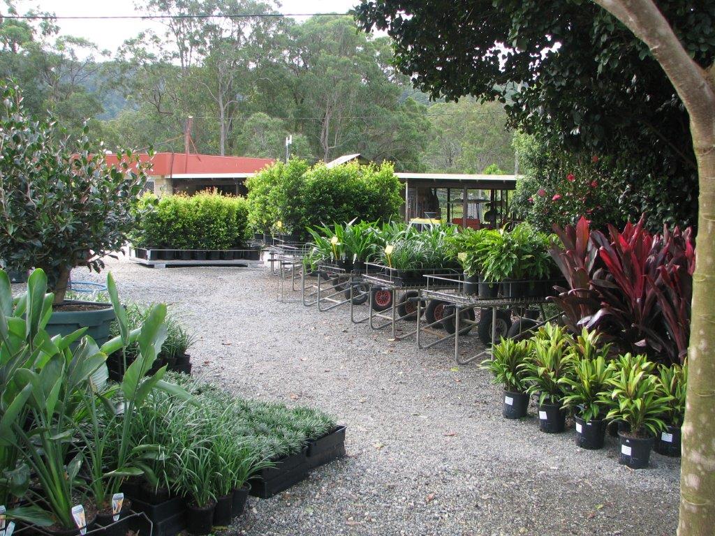 Horseshoe Drive Devon Stork Nursery | 15 Horseshoe Dr, Mudgeeraba QLD 4213, Australia | Phone: (07) 5530 5463