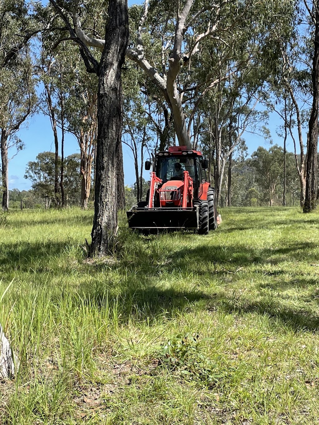 Superslash Slashing and fence line clearing | 2648 Orara Way, Kremnos NSW 2460, Australia | Phone: 0433 676 234