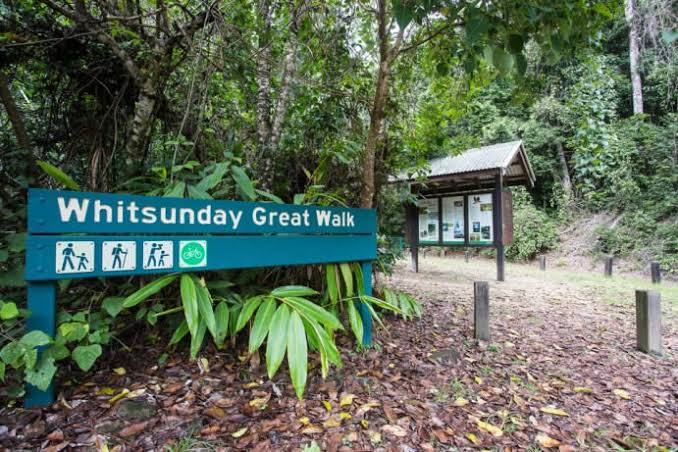 Whitsundays Great Walk | tourist attraction | Brandy Creek QLD 4800, Australia | 0481820444 OR +61 481 820 444
