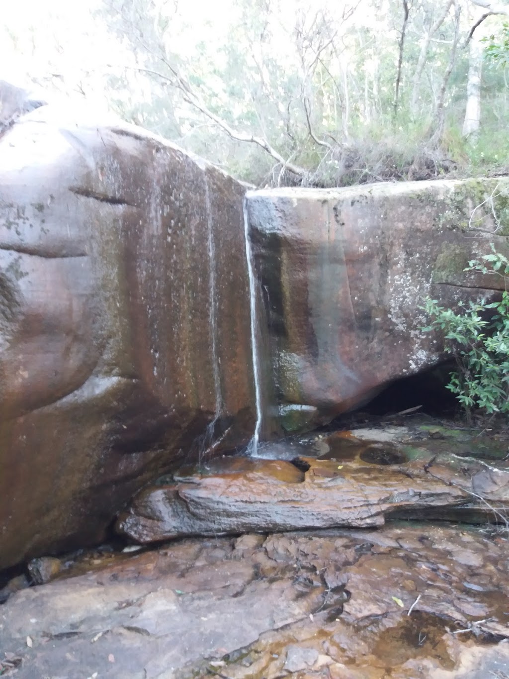 Elvina Trailhead | park | Elvina Walking Track, Ku-Ring-Gai Chase NSW 2083, Australia