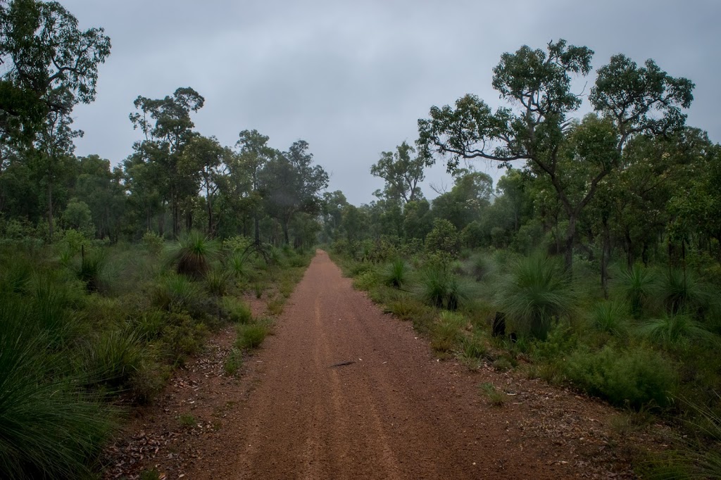 Munday Brook Walk Trail | Karragullen WA 6111, Australia