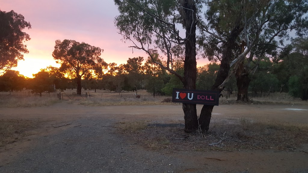 Old Junee Recreation Reserve | Bolton St, Old Junee NSW 2652, Australia