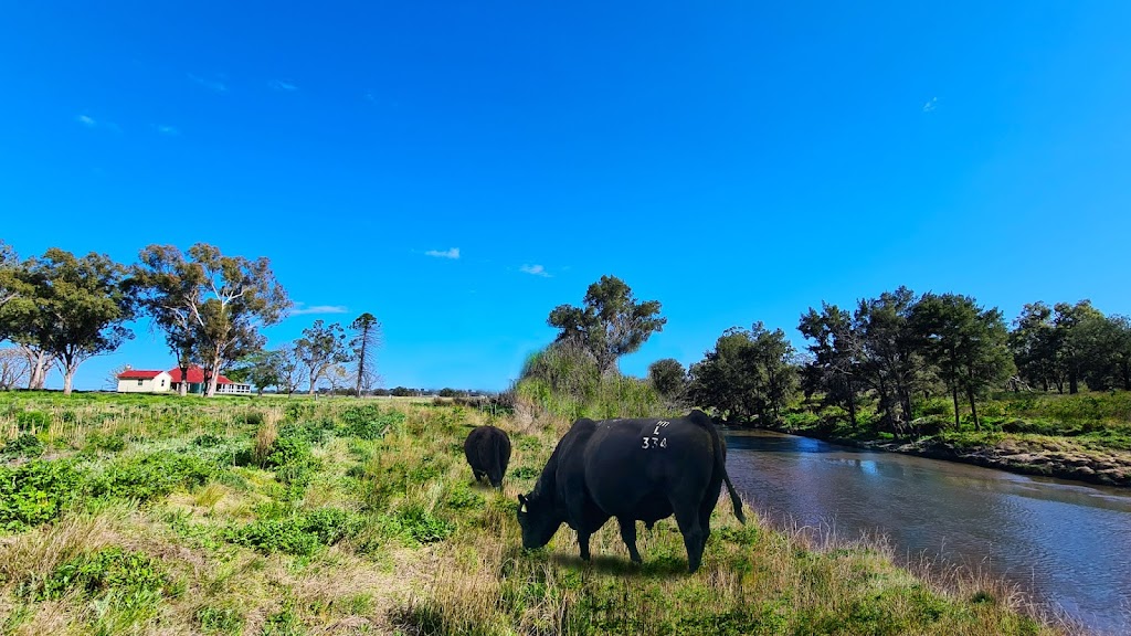 STONY BATTER Red Island Beef | 1548 Gwydir River Rd, Camerons Creek NSW 2359, Australia | Phone: 0417 733 181