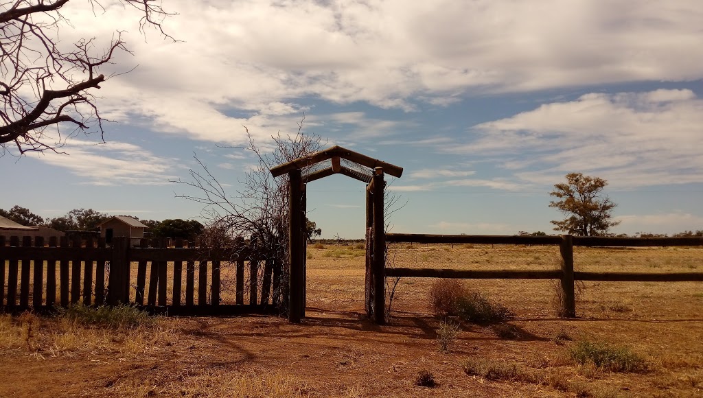 Yanga Woolshed | tourist attraction | 312 Windomal Rd, Balranald NSW 2715, Australia | 0350201764 OR +61 3 5020 1764