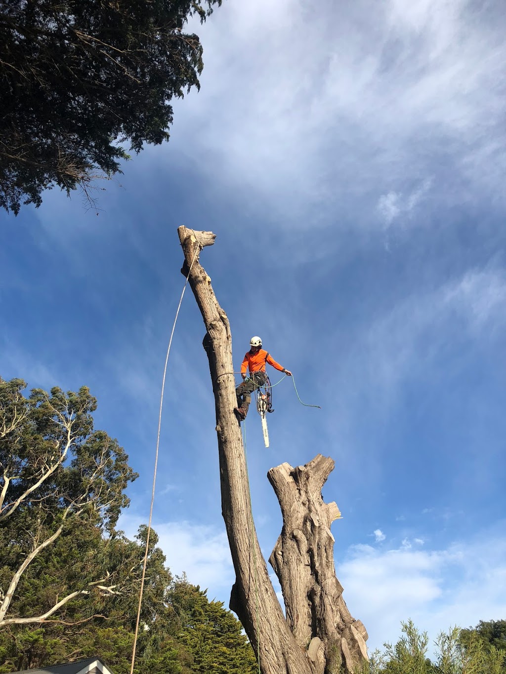 Laurie Brown Pty Ltd - Complete Tree Removal | 75 Walara Dr, Mount Martha VIC 3934, Australia | Phone: 0409 704 662